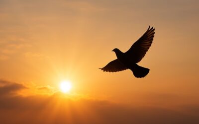 The Freedom of Release: Letting Go to Rise
