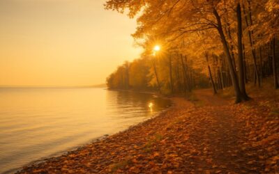 Harvesting the Quiet Blessings