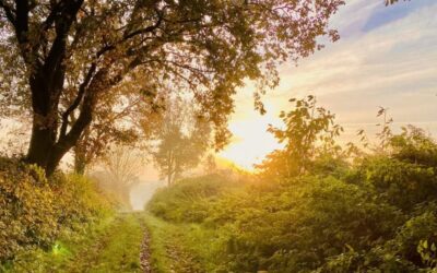 What If Your Purpose Is Already Whispering?