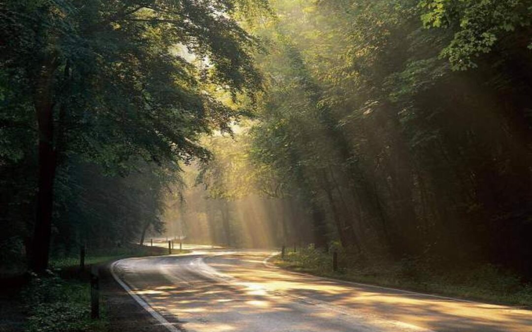 The Next Step Doesn’t Need Certainty