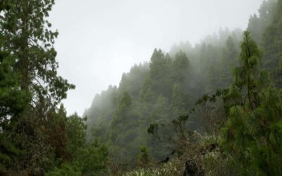 When Doubt Tries to Pull You Back