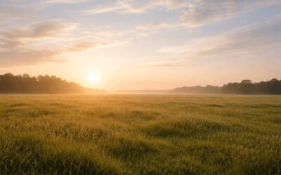 Entering the Year With Intention