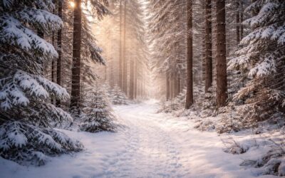 Not Everything Deserves Your Energy