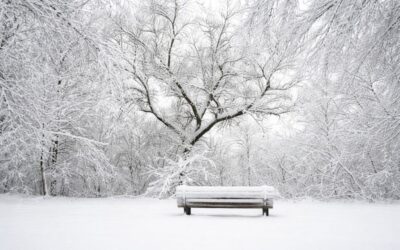 No One Else Is Responsible for Your Reactions