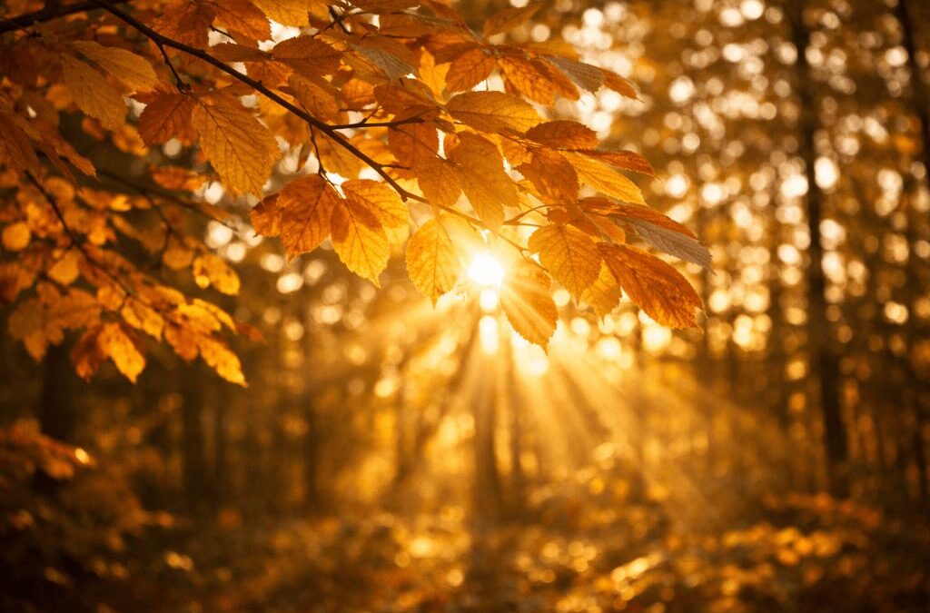 Choosing a Different Response When Old Patterns Rise