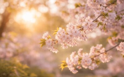 What It Looks Like to Live in Alignment